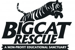 Big Cat Rescue Logo